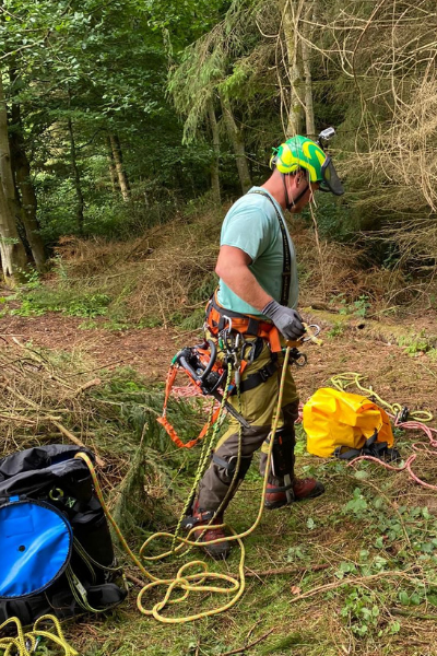 Green Giant Tree Surgeon