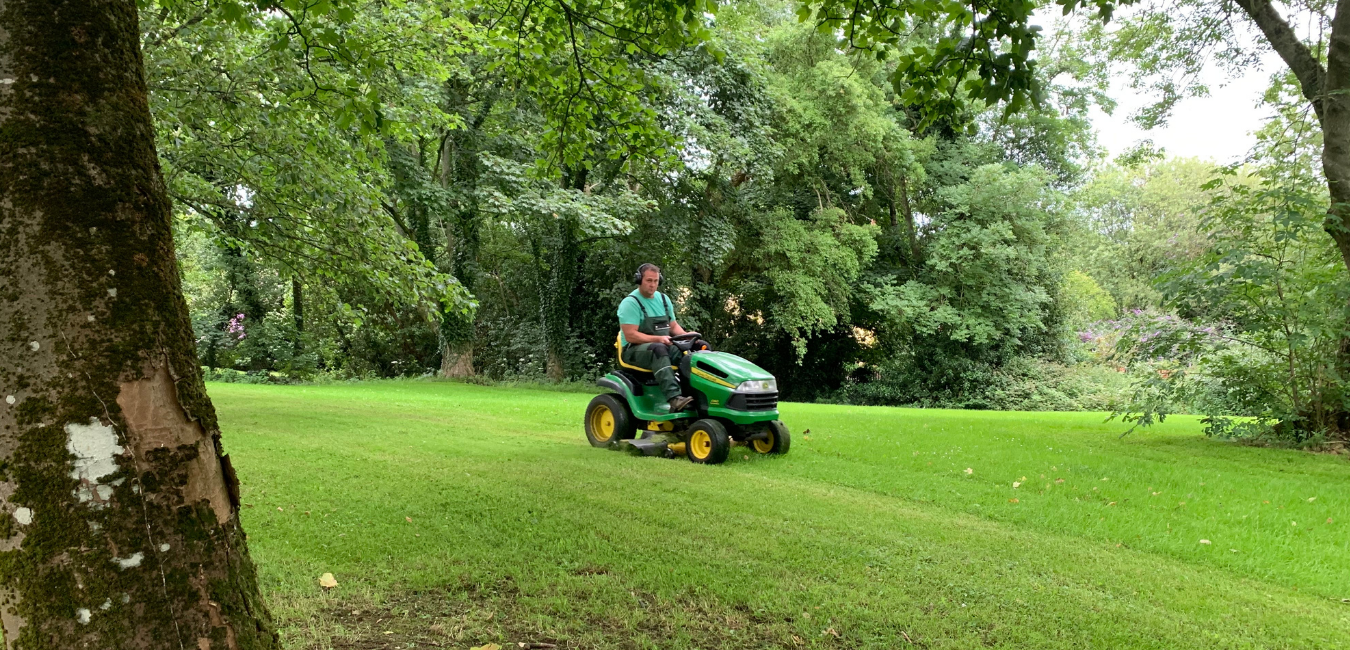 Green Giant Gardening