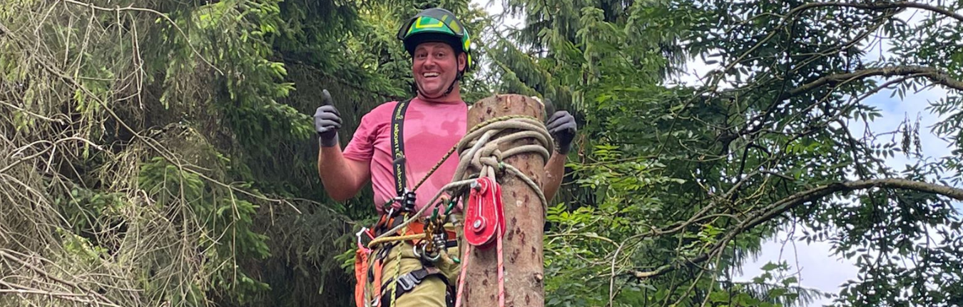 Green Giant Gardening Green Giant Gardening