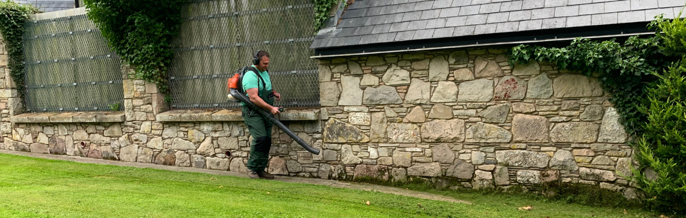 Green Giant Gardening (2)