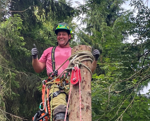 Green Giant Gardening