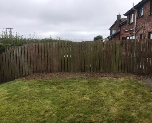 Green Giant Gardening Hedge Removal