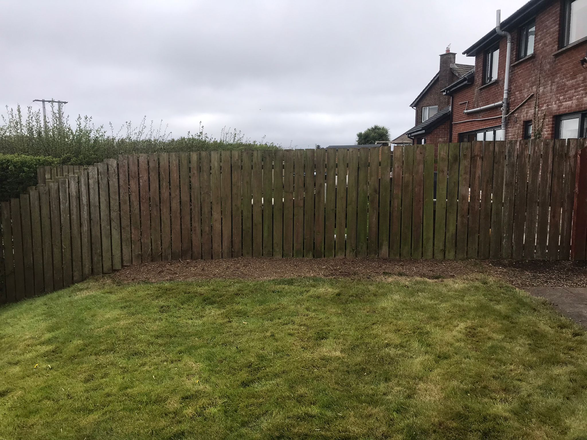 Green Giant Gardening Hedge Removal