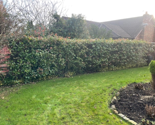 4a2edef5-0ba1-4f93-bdfa-219a6ea1a9ec