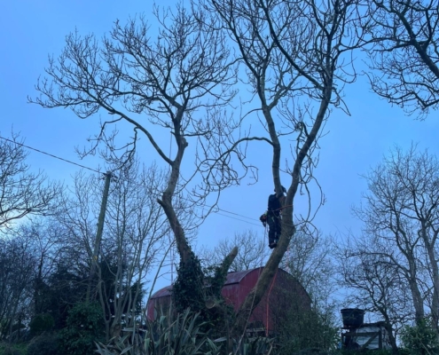 f0bb3cdb-d61c-43cc-86ef-4fcbf8b3a291