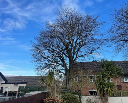 0393b018-1a9d-47ae-ae0b-3143d0b6876d 3