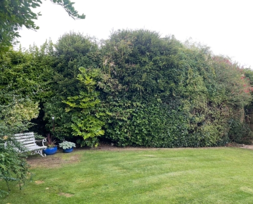 0d8d2d3f-166f-4865-8c36-a4532d092191