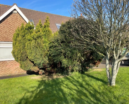 3f08af1c-85b1-42ee-9764-aacfb1c46fc4