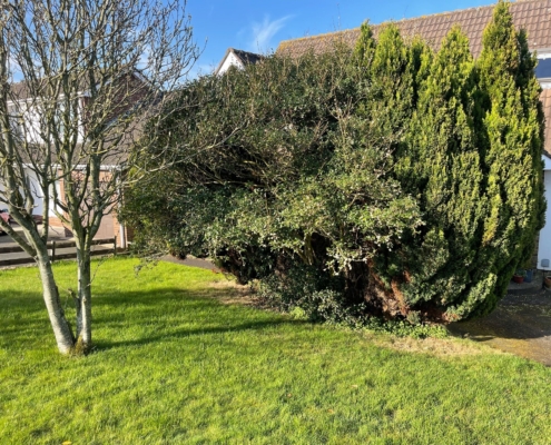 4521d014-7dc7-42be-ac59-2a62ed89b195