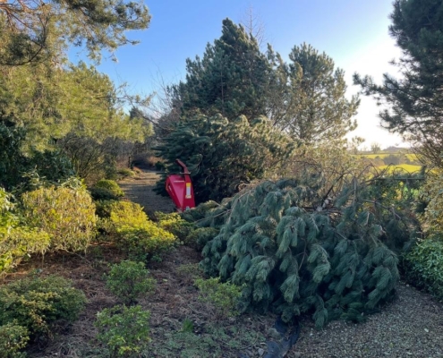 4a72fdf8-3be1-45d6-be23-bfbb5eb77df7 3