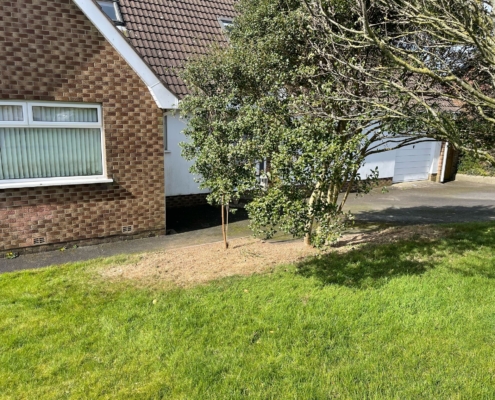 4c9a309c-3e8a-43e3-8acd-cd7520a9adb7