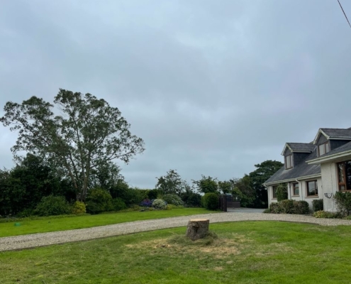 637c6e60-f7eb-46af-8369-ce24976d9e37