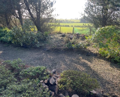 aeca4f3d-f956-4d53-ad6b-ba891eaab23b 3