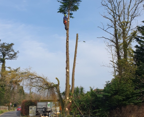 d10b252b-abb7-43c7-9c3e-d1cc13cfc2f9 2