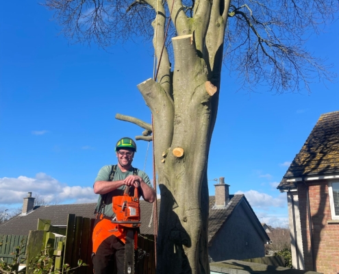 d3b1f9c9-a4e6-422a-8f25-21e6623d7e30 3